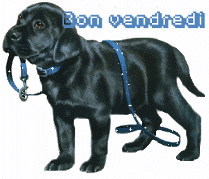 Gif animé Bon vendredi chien
